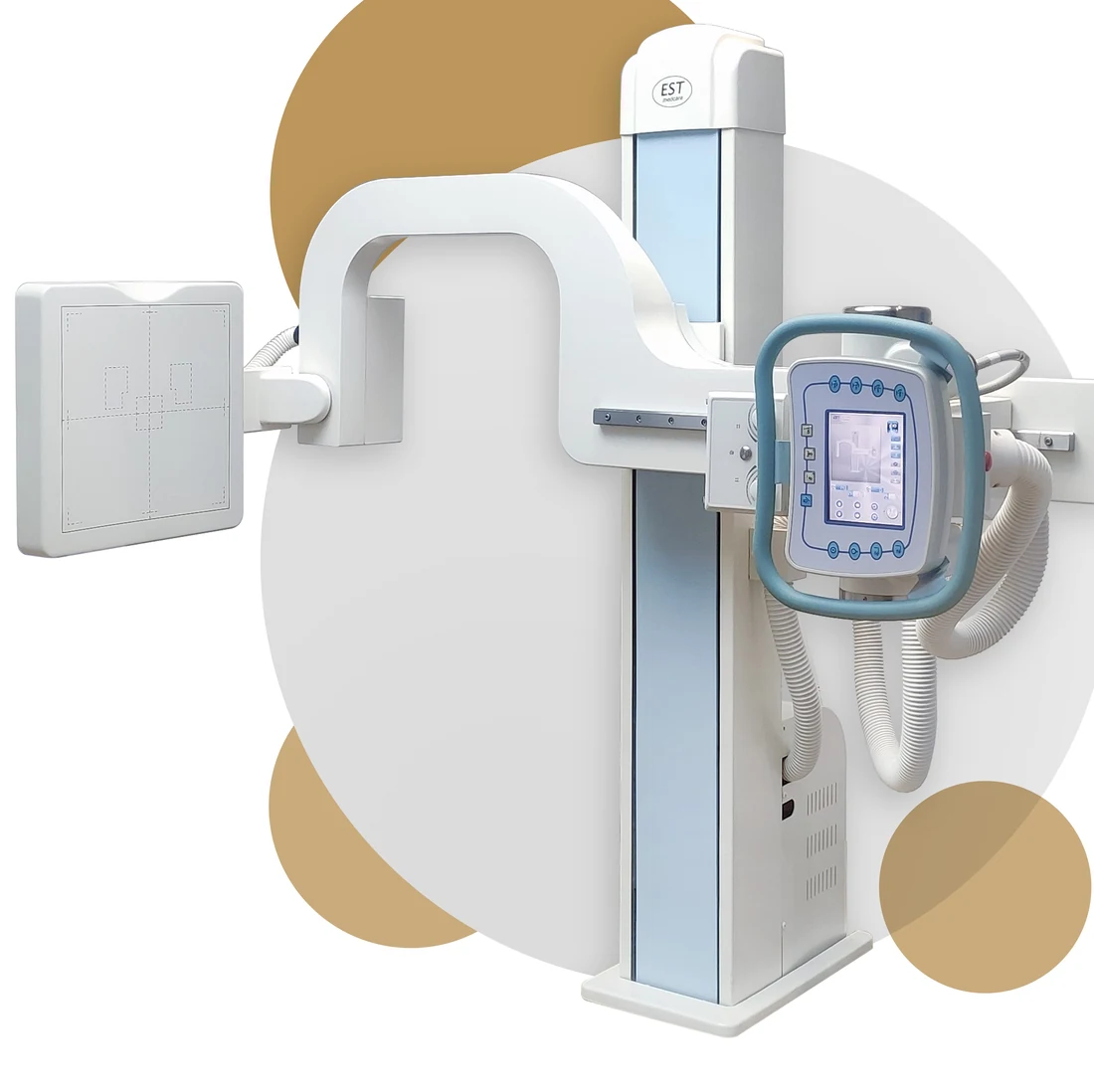 Digital X-ray Examination